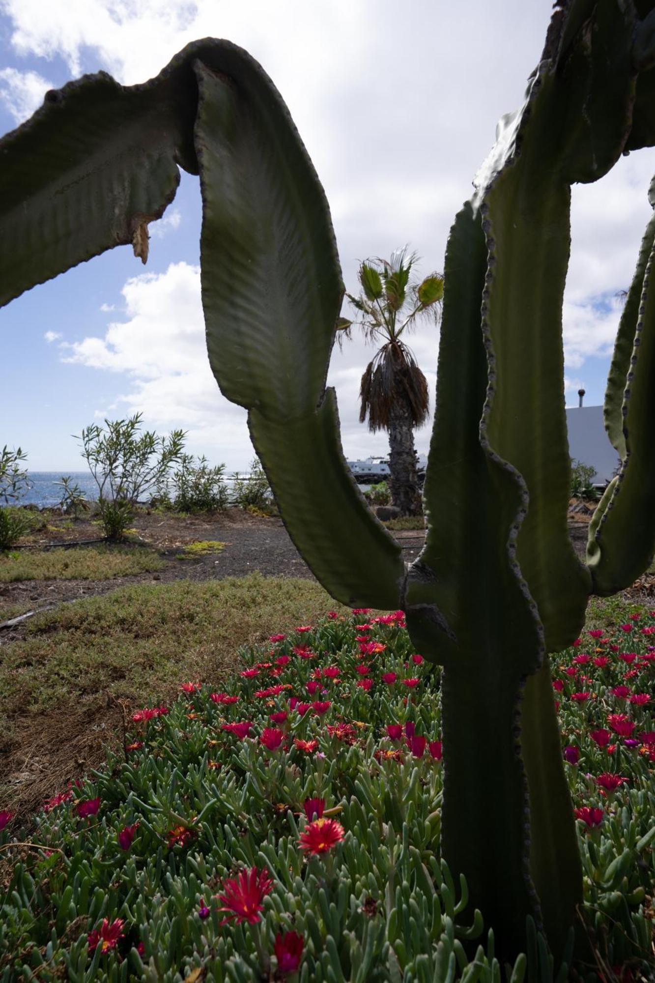 Punta Mujeres Casa La Sebaヴィラ エクステリア 写真